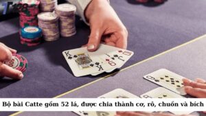 Bộ bài Catte gồm 52 lá, được chia thành các chất cơ, rô, chuồn và bích