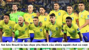 Soi kèo Brazil là một trong những lựa chọn yêu thích của nhiều người chơi cá cược